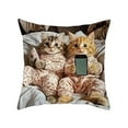 thumbnail image 2 of Funda de almohada con estampado de gatos, 45 x 45 cm, decorativa, de tela suave con cremallera oculta, para sofá y cama, decoración del hogar, de poliéster., 2 of 6