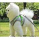 thumbnail image 5 of YUDODO Nylon Mesh Harness For Animals Reflective Dogs Harness Leash Set Dogs Vest Harness Leads Pet Clothes For Small Dogs ShopWise Round, 5 of 9