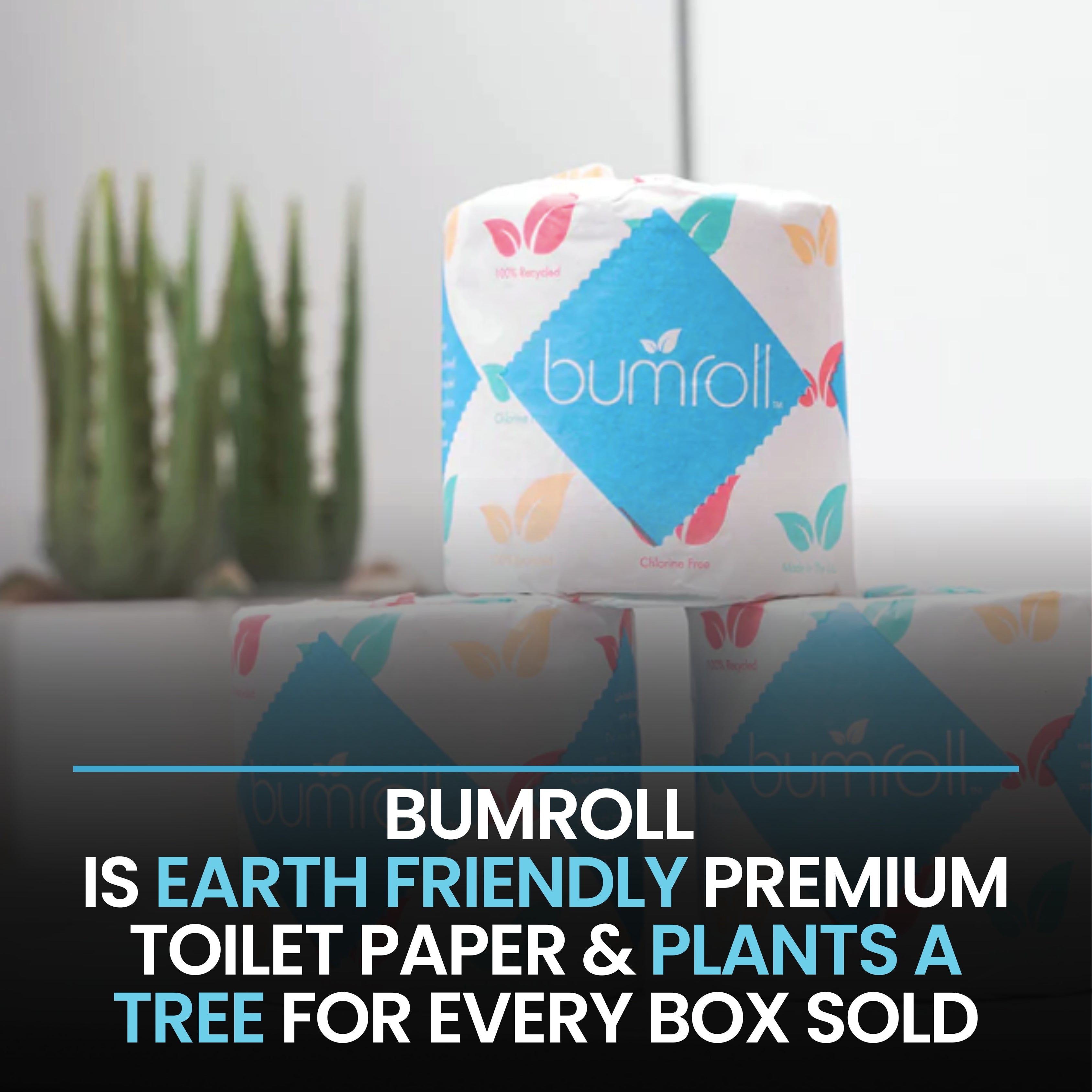 Bumroll USA, 96 Premium Earth Friendly Soft Toilet Paper Rolls - Soft, Absorbent & Eco-Friendly Bathrooms Tissue Rolls for Home & Office - Septic Safe & RV-Friendly - Bulk Toilet Paper