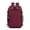 Red, variant on Travel Backpack for Women, Carry On Backpack with Water Bottle Pocket, Nurse Bag Casual Daypack for Weekender Business Hiking
