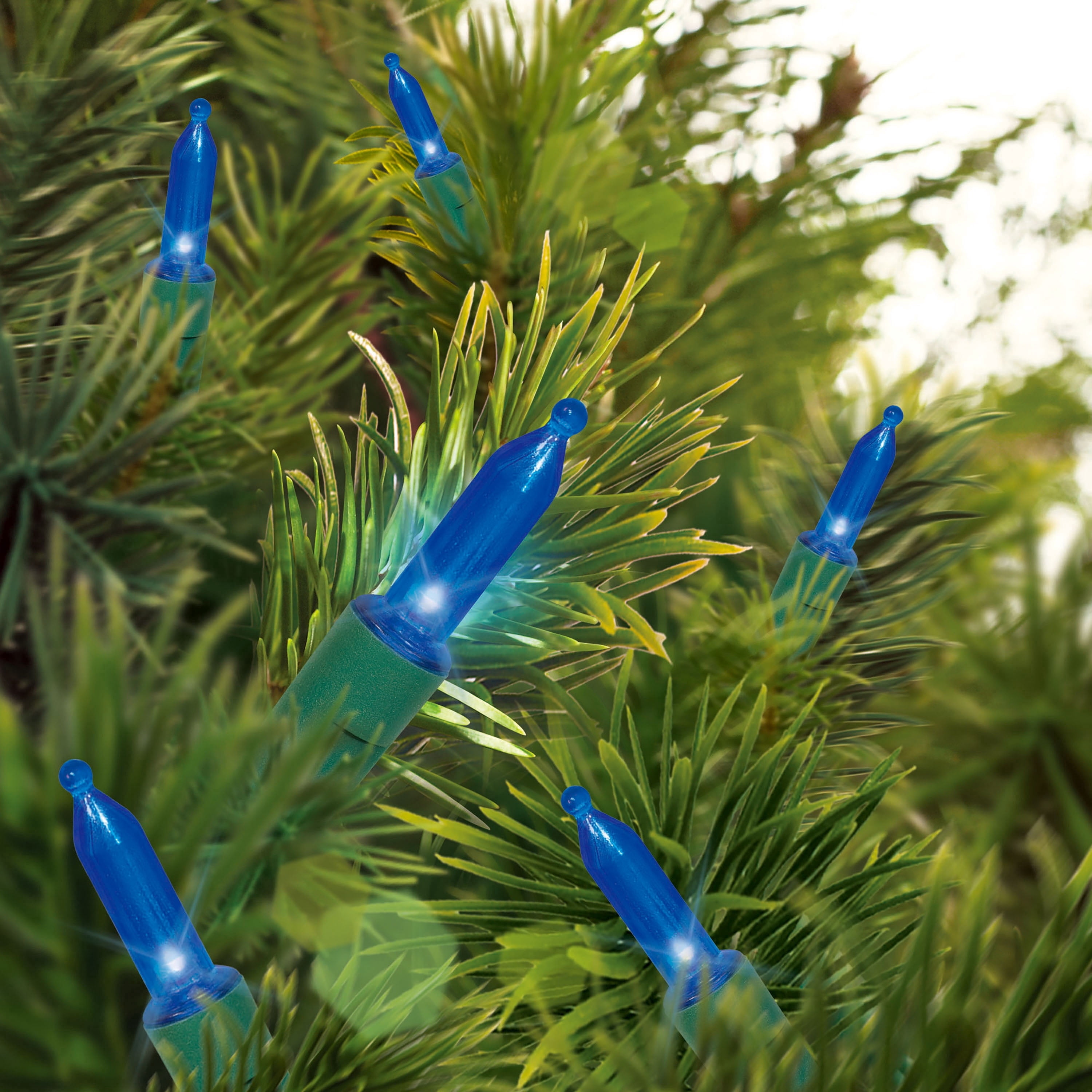 Indoor/Outdoor 50-Count LED Mini Christmas String Lights, Blue, Green Wire, 9.5', by Holiday Time