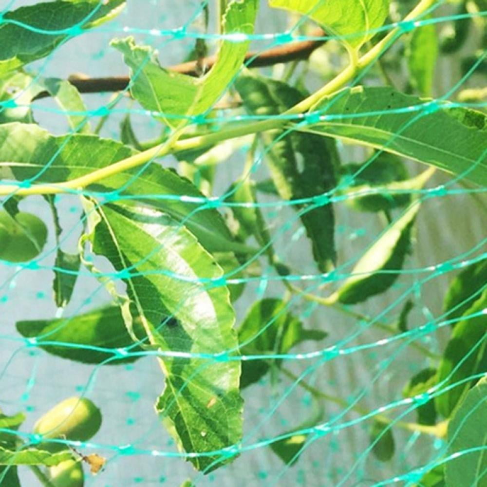 Anti Bird Netting Fruit Tree Vegetables Net Protection Crops Flower Garden Mesh 