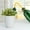 C, variant on Boreal Craft PP Watering Can For Garden And Yard Irrigation System Sprinkler Attachment Watering Sprinkler Pad for Babies Hose Bib Timer Small Sprinklers Water Hose Timer Walking Sprinklers for Water