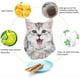 thumbnail image 2 of Wolover Silvervine Sticks para gatos Catnip Natural Sticks M WoLover N/A, 2 of 2