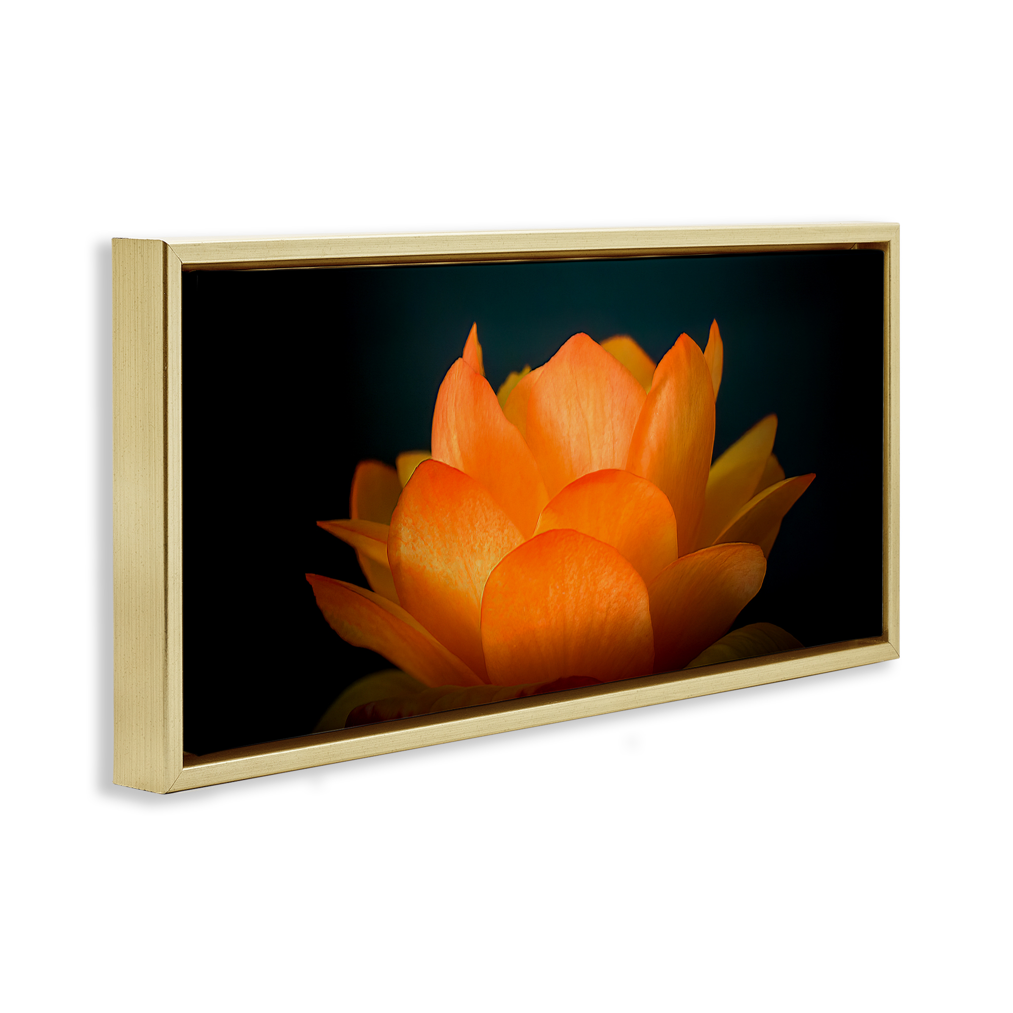 Glowing Orange Lotus Gold Framed Floater Canvas Wall Art, design by Phillip Flowers