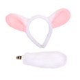 thumbnail image 3 of Runquan Animal Ears and Tail Set Cosplay Supplies for Role Playing Party Props Girls, 3 of 8