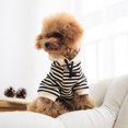 thumbnail image 2 of Pet Apparel Wiz BBQT - Sudadera a rayas (tamaño 3XL), color negro, 2 of 5