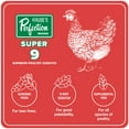 thumbnail image 4 of Kruse's Perfection Brand Super 9 Poultry Scratch Grain , 40 lb, 4 of 5