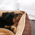 thumbnail image 2 of Cat kennel spot dog kennel removable and washable pet kennel online shop agent pet supplies ShopWise Round, 2 of 6
