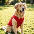 thumbnail image 4 of Sleeveless Dog Tank Top Soft Breathable Cotton Pet Vest Pullover Summer Clothes for Small Medium Large Dogs Cats Multiple Colors Available, 4 of 4