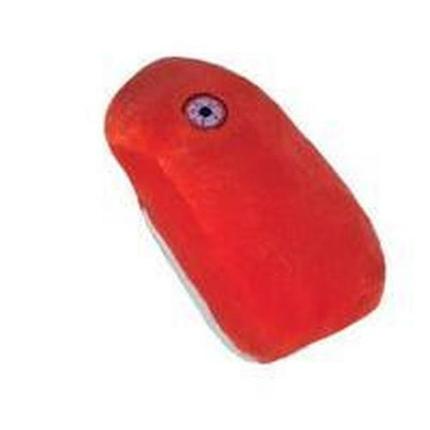 giant microbes rabies