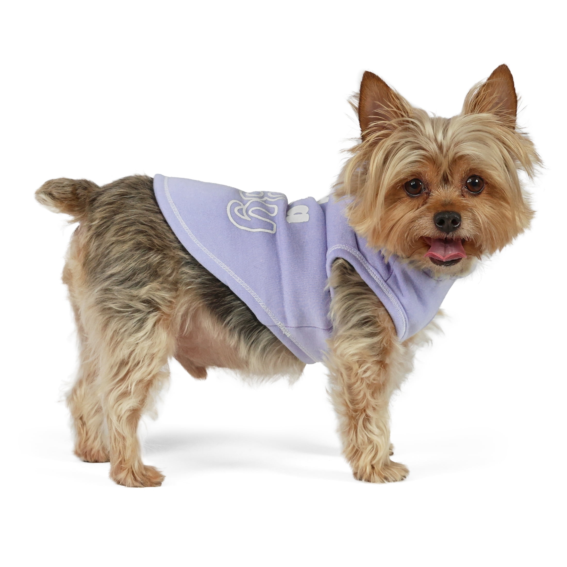 Vibrant Life Easter I'm Just a Baby Hoodie for Dogs and Cats, Blue, XS