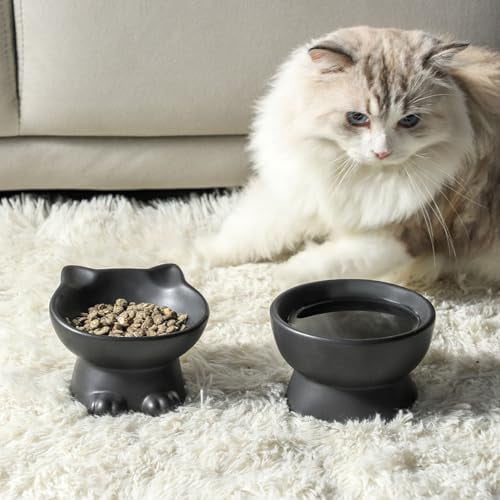 Slanted Elevated Cat Bowls: 5 Inch Ceramic Raised Cat Food Bowl for Protecting Pet's Spine - Microwave & Dishwasher Safe -Matte Black (4.5 OZ /1 PC)