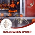 thumbnail image 4 of Piwvid Décorations d'Halloween Squelette d'Araignée pour Cour d'Animaux Effrayants Accessoires de Fête Intérieure Extérieure, 4 of 9