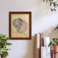 thumbnail image 6 of Seashell Ephemera V - Framed Print w/glass - Chestnut, 6 of 7