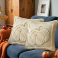 thumbnail image 2 of Fall Pumpkin Throw Pillow Covers, 18x18 Inch Autumn Thanksgiving Harvest Decoration Soft Plush Faux Fur Jacquard Cushion Case for Sofa Couch Set of 2, 2 of 5