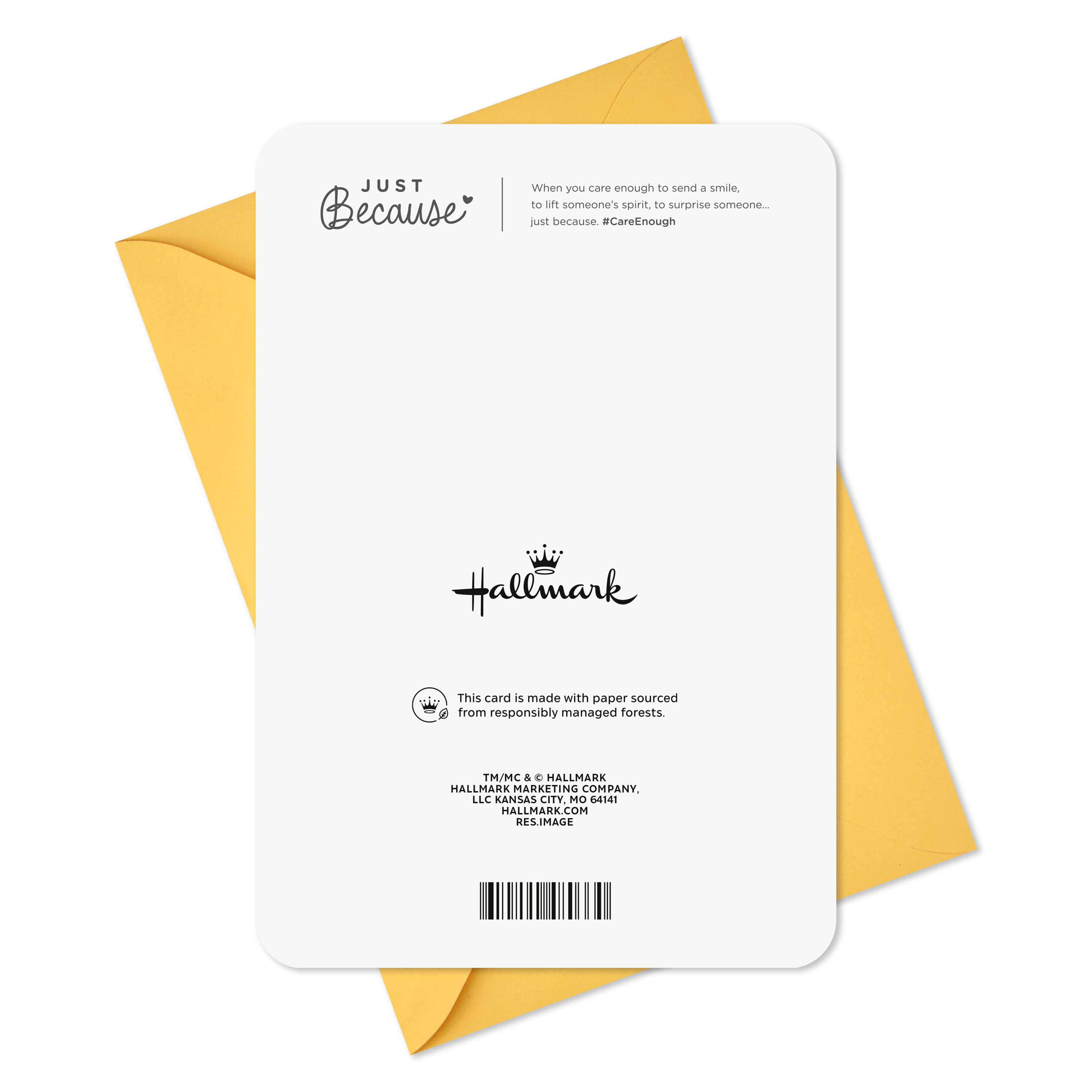 Hallmark Just Because Thinking of You Card (Koala)