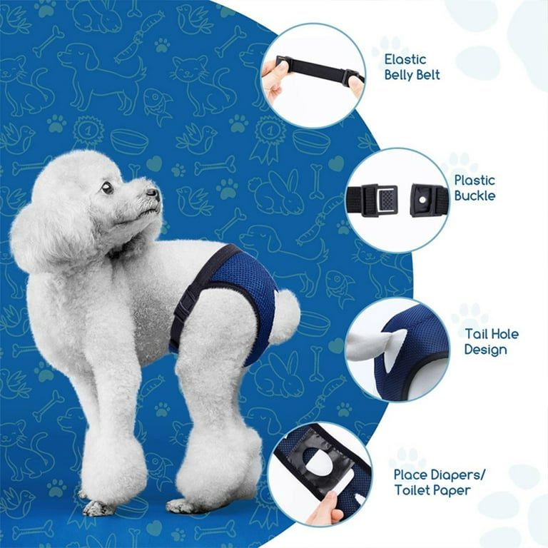 LIAOTI Dog Sanitary Pants,Pet Dog Cat Physiological Shorts Doggy Kitte –  KOL PET