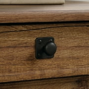 Sauder Palladia Engineered Wood Computer Desk in Vintage Oak