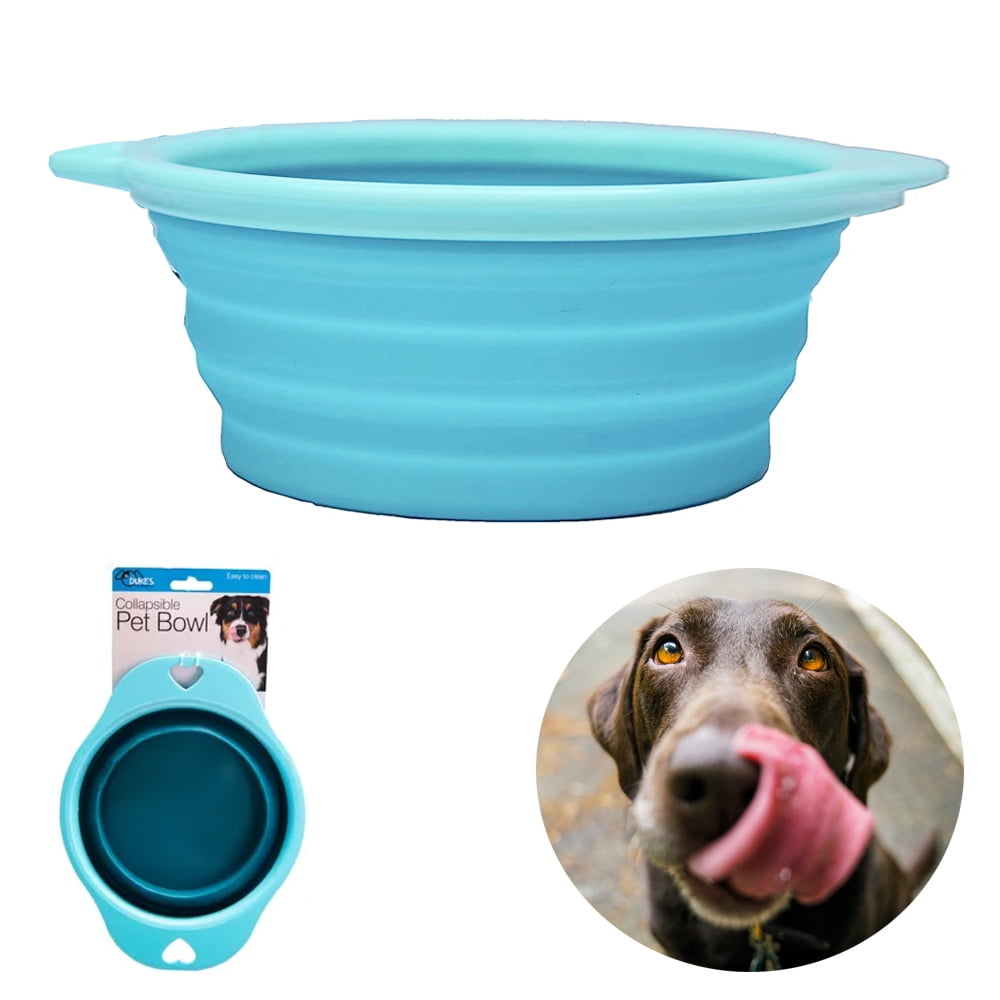 by The Modern Pet Company Foldable Silicone Dog Bowl Blue Dog Camping Bowl Set- Portable 