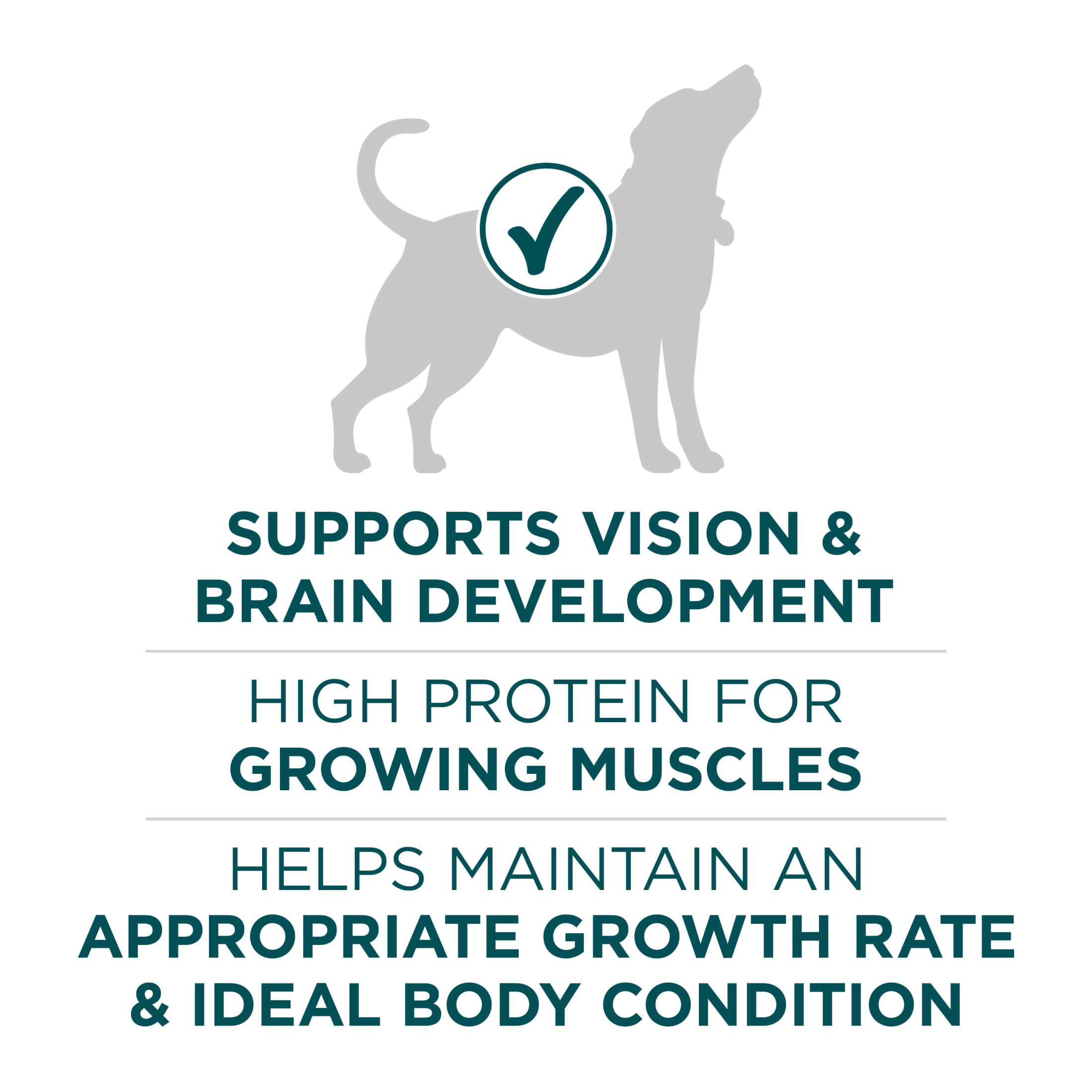 Purina One Plus Large Breed Puppy High Protein Dry Food, 40 lb photo 4