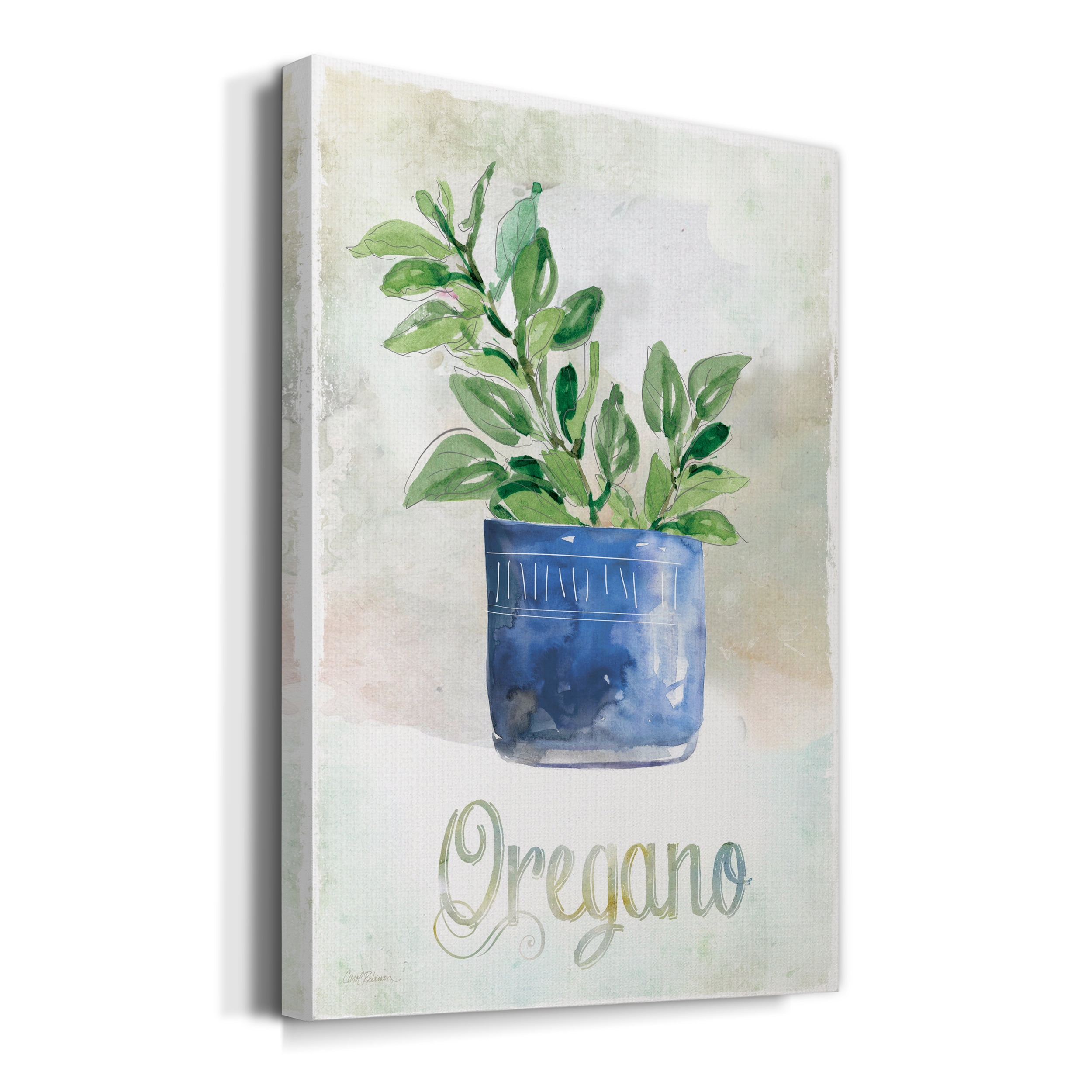 Potted Oregano Premium Gallery Wrapped Canvas - Ready to Hang - 8 x 12