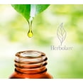 thumbnail image 2 of Aceite esencial Bergamota Tea 15 ml. Deliciosa sinergia para elevar el animo y la concentración. Herbolare Aceite esencial Bergamota Tea 15 ml., 2 of 6