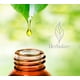 thumbnail image 2 of Aceite esencial Bergamota Tea 15 ml. Deliciosa sinergia para elevar el animo y la concentración. Herbolare Aceite esencial Bergamota Tea 15 ml., 2 of 6