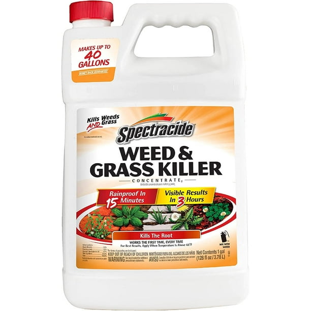 Spectracide Weed And Grass Killer Concentrate 1 Gallon, Use On Patios