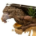 thumbnail image 4 of Destyer Simulation de Reptile Cachant un Trou de Grotte Durable et Réaliste pour Tortue Tortue Grande 1Ensemble, 4 of 6