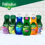 Palmolive Ultra Oxy Liquid Dish Soap, Power Degreaser, 20 fl oz Bottle (2 Pack)