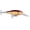 Crawdad, variant on Rapala Shad Rap 07 Crankbait Fishing Lure 2.75" 5/16 oz Bleeding Olive Flash