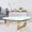 Nature Table, variant on Triangle Coffee Table