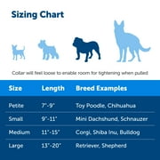 PetSafe Martingale Collar with Quick Snap Buckle