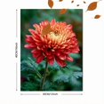 thumbnail image 3 of Pink Chrysanthemum Floral Canvas Print, Wall Decor for Living Room Bedroom Office Dining Room Hallway Decor, 3 of 8
