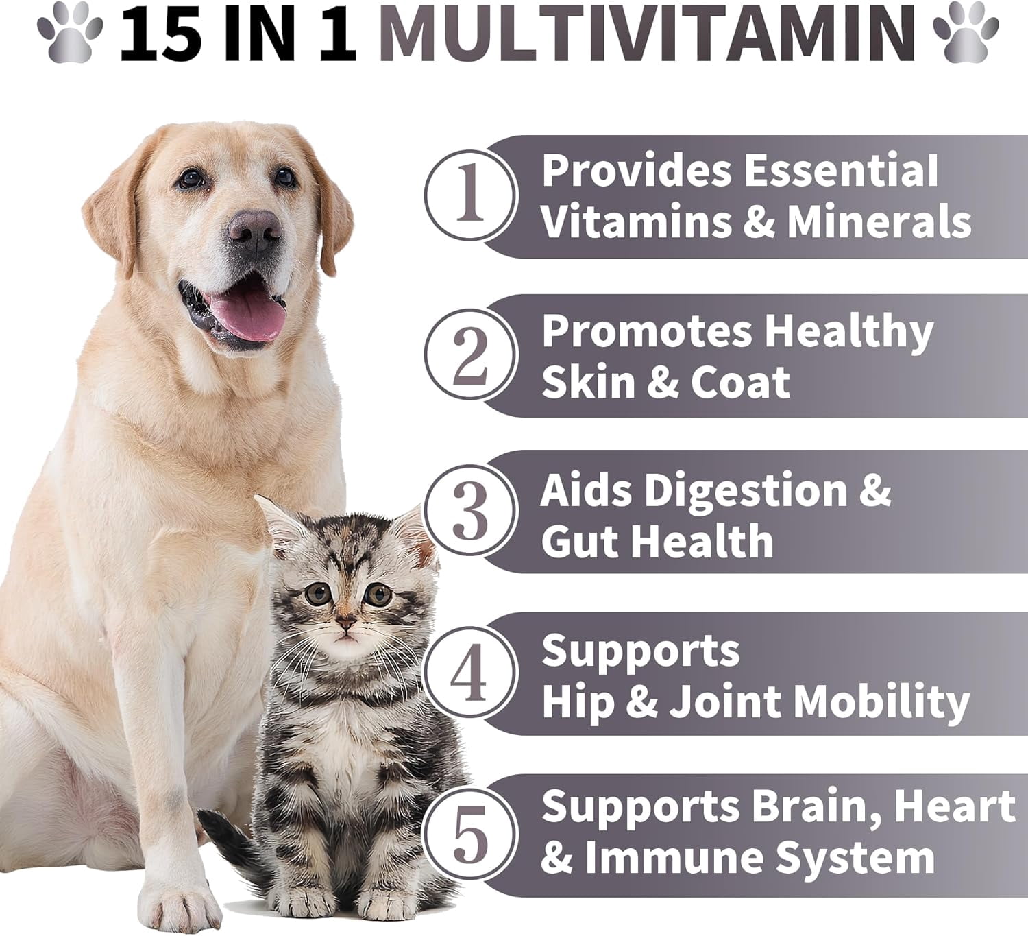 Best Buddy Multivitamin 15-in-1 Treats for Dogs, Complete Health Supplement Joint Support + Digestive Enzymes, Grain Free Dog Vitamins and Supplements for Skin & Coat (Pork, 225g)