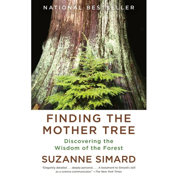 Finding the Mother Tree: Discovering the Wisdom of the Forest, (Paperback)