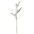 thumbnail image 2 of Under $3 Artificial Dandelion Ball Bouquet 3-Fruit Dandelion Ball Pvc For Living Room Vase Filler Wedding Arch Arrangement White (1Pc), 2 of 7