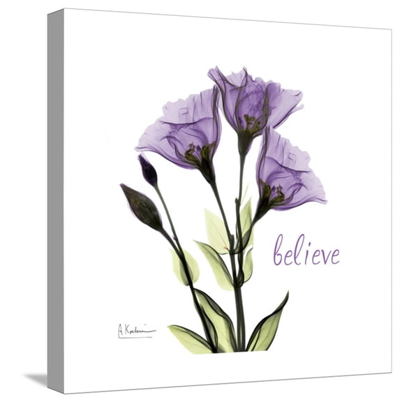 Art.com Believe Gentian Stretched Canvas Print Wall Art by Albert Koetsier, 16" x 16"