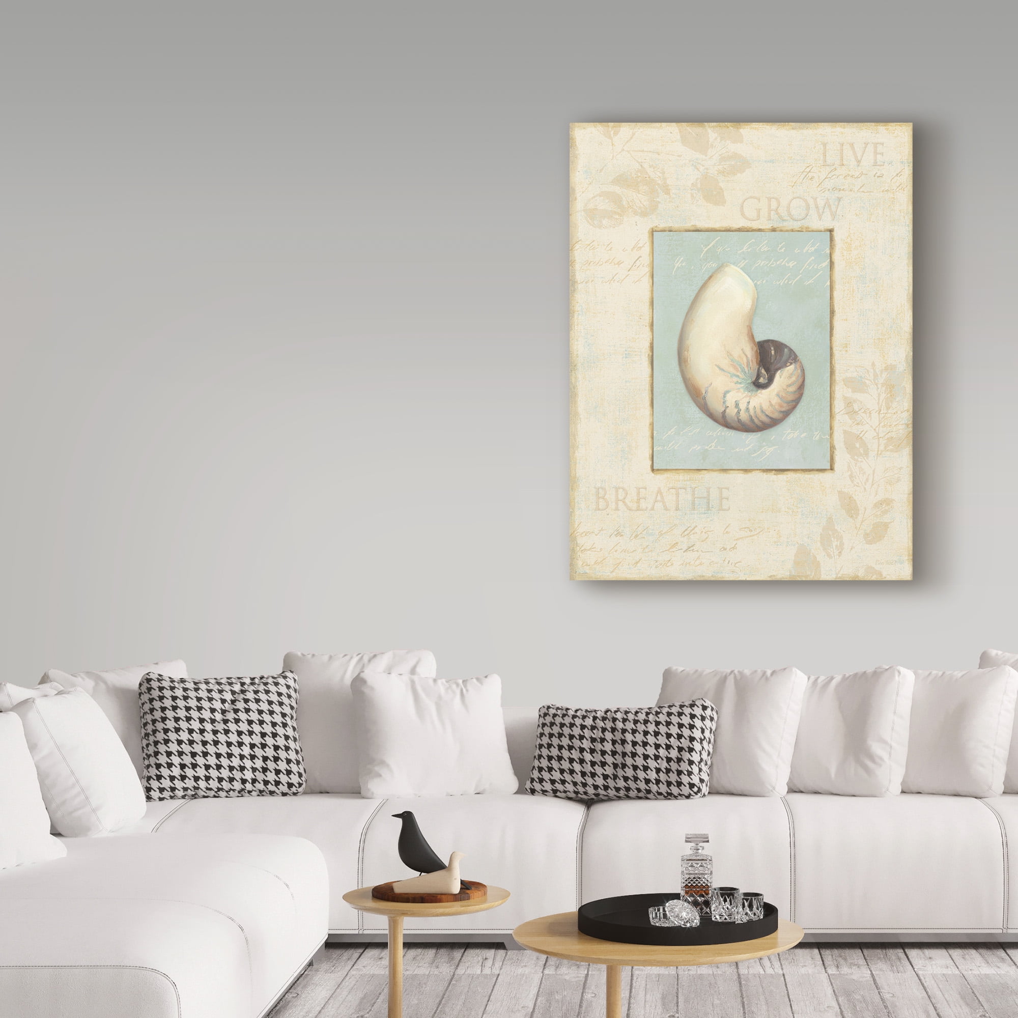 Trademark Fine Art 'Soothing Words Shells II' Canvas Art by Lisa Audit