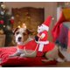 thumbnail image 4 of Abrigo navideño para perros, abrigo para perros pequeños con Papá Noel sobre su gato, suéter navideño rojo para perros, 4 of 5