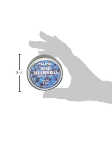 Authentic Wild Maine Blueberries Packed in Water. 3.5-ounce can - Great for Baking in Muffins and Pancakes (12 Pack)