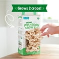 thumbnail image 5 of Back to the Roots Organic Pearl Oyster Mushroom Grow Kit, 5 of 11