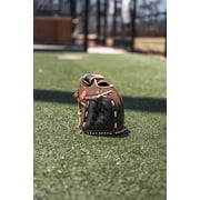 Rawlings | 12.5 RBG36 Recreational Baseball & Softball Glove | All-Leather Shell | Right Hand Throw