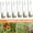 804-Multicolor【15-meter suspension cable + 6 roller hooks】, variant on Tomato Roller Hook, Greenhouse Lattice Hook for Tomato Support, 6pc Set of Garden Hooks for Vine Growth, Durable Professional Grade Support Gear for Agricultural and Yard Plant Management, by UKHCCC