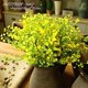 thumbnail image 4 of [ Arbustos Artificiales CATTREE Amarillo de 38 cm, 8 Piezas ], 4 of 8