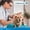 A, variant on Pet Care Dog Ear Cleaner Finger Wipes for Gentle Dirt Removal and Wax Dissolution - Easy to Use Finger Wipes for Dogs and Cats