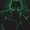 Spider-Man Hulk Black, variant on Spider-Man, Men's & Big Men's Graphic Hoodie, Hulk, Sizes S-3XL