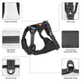 thumbnail image 3 of Naloa Colorful Dragonflies Pet Harness Vest with Traction Rope, Adjustable No-Choke Dog Vest for Outdoor, Walking - X-Large, 3 of 4