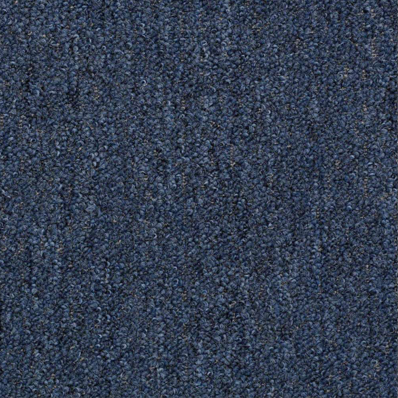 Color World Collection Pet Friendly Indoor Outdoor Petrol ...